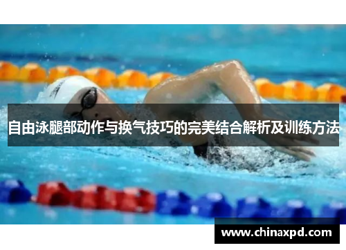 自由泳腿部动作与换气技巧的完美结合解析及训练方法
